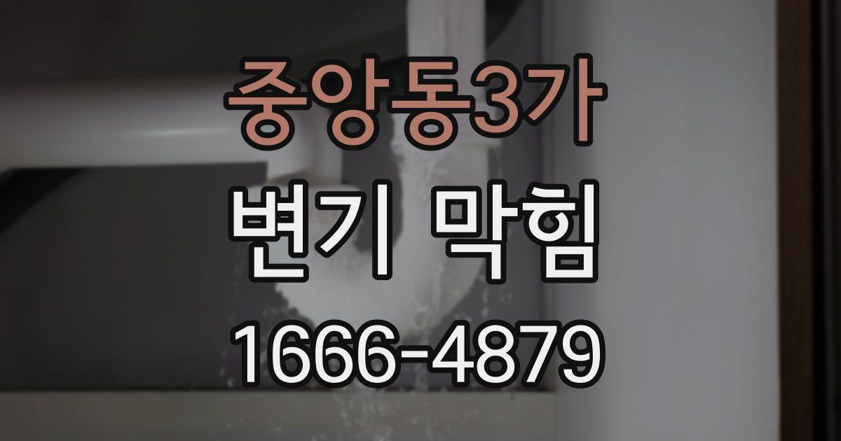 중앙동3가 변기 막힘