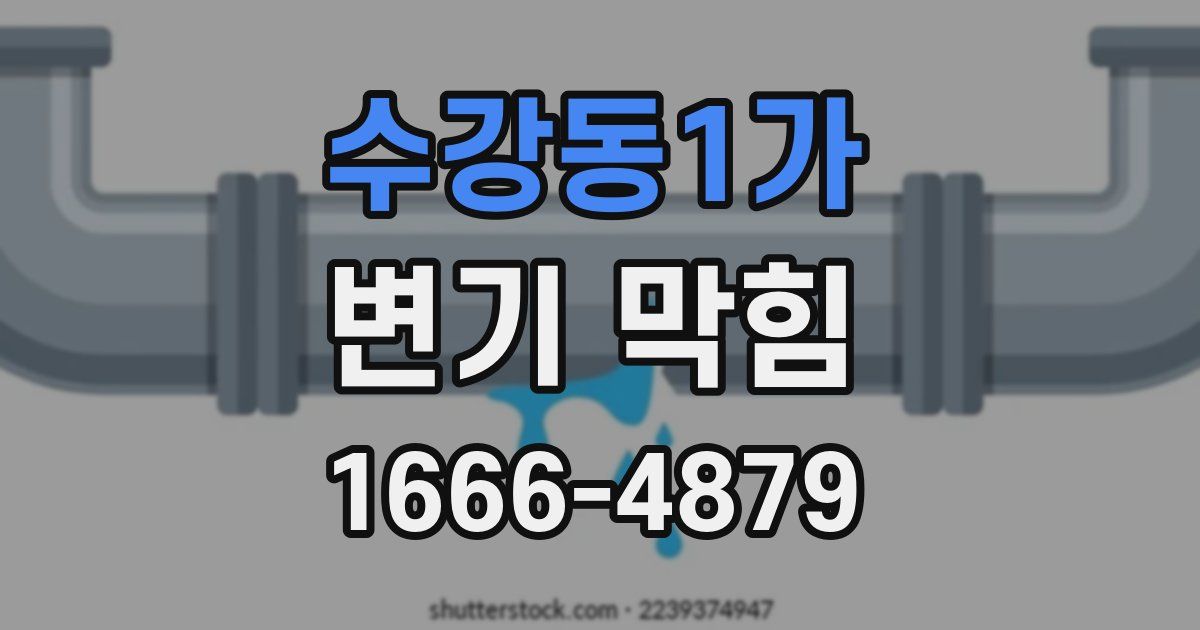 수강동1가 변기 막힘