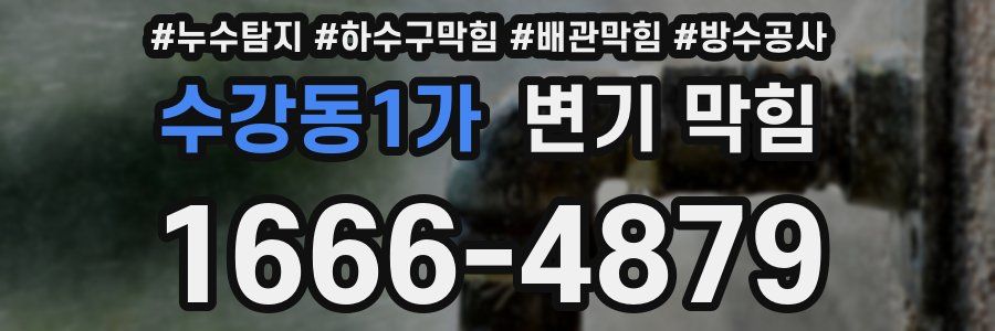 수강동1가 변기 막힘