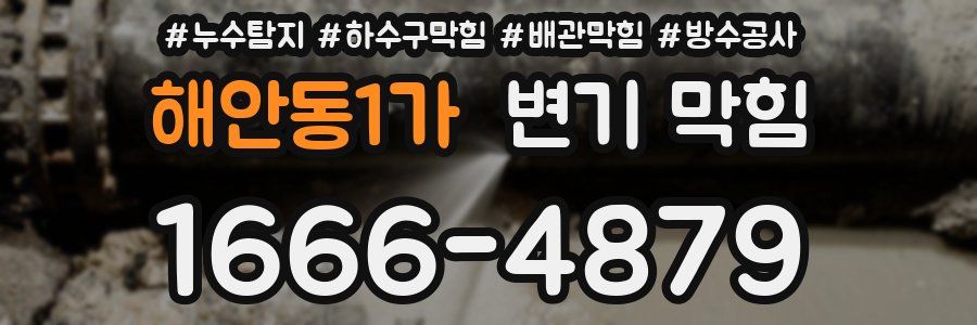 해안동1가 변기 막힘