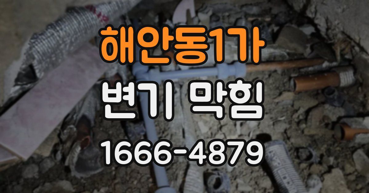 해안동1가 변기 막힘