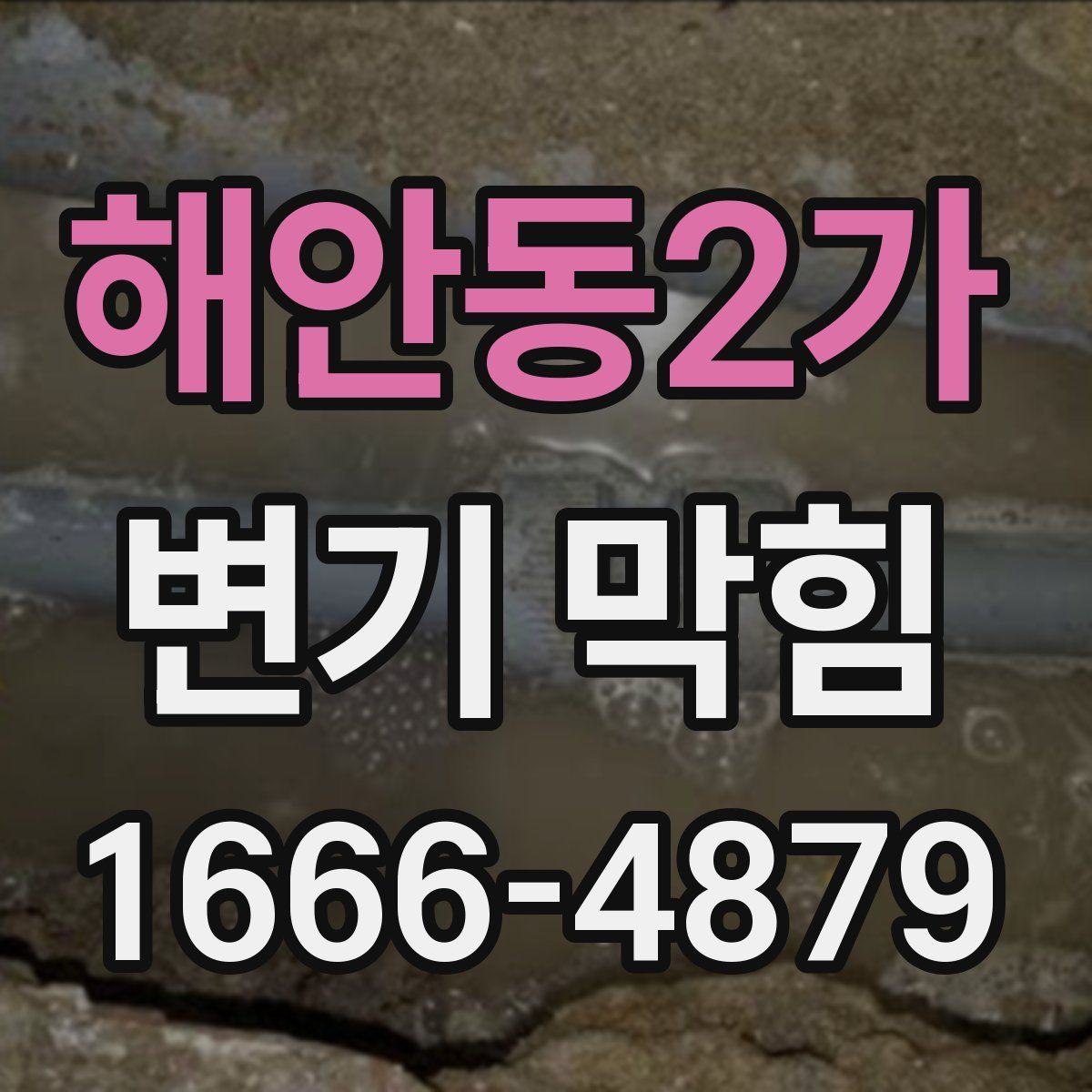 해안동2가 변기 막힘