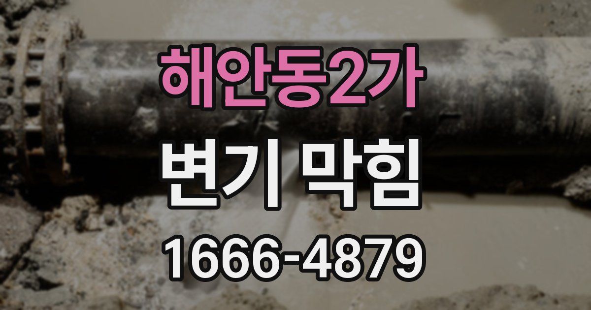 해안동2가 변기 막힘