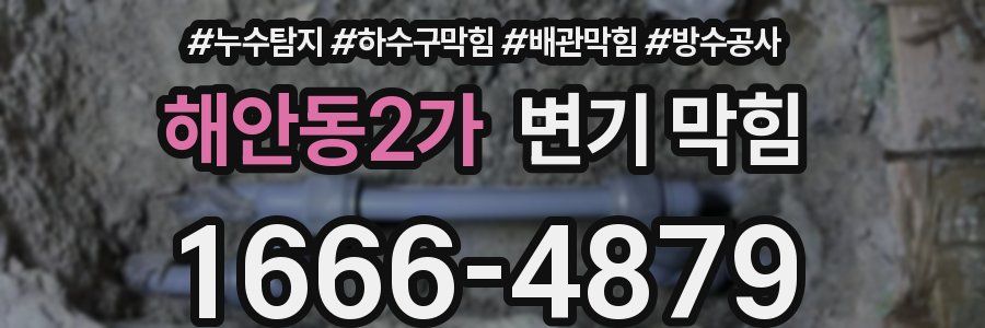 해안동2가 변기 막힘
