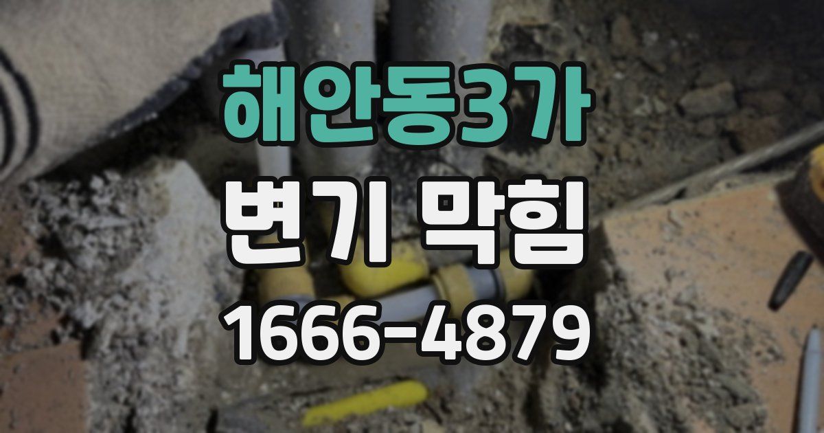해안동3가 변기 막힘