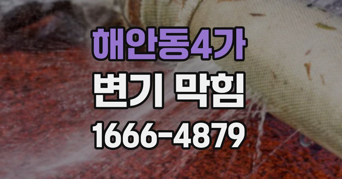해안동4가 변기 막힘