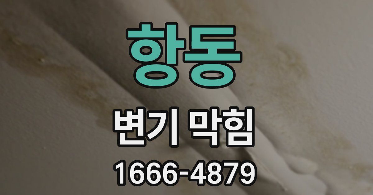 항동 변기 막힘