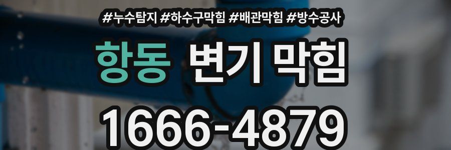 항동 변기 막힘