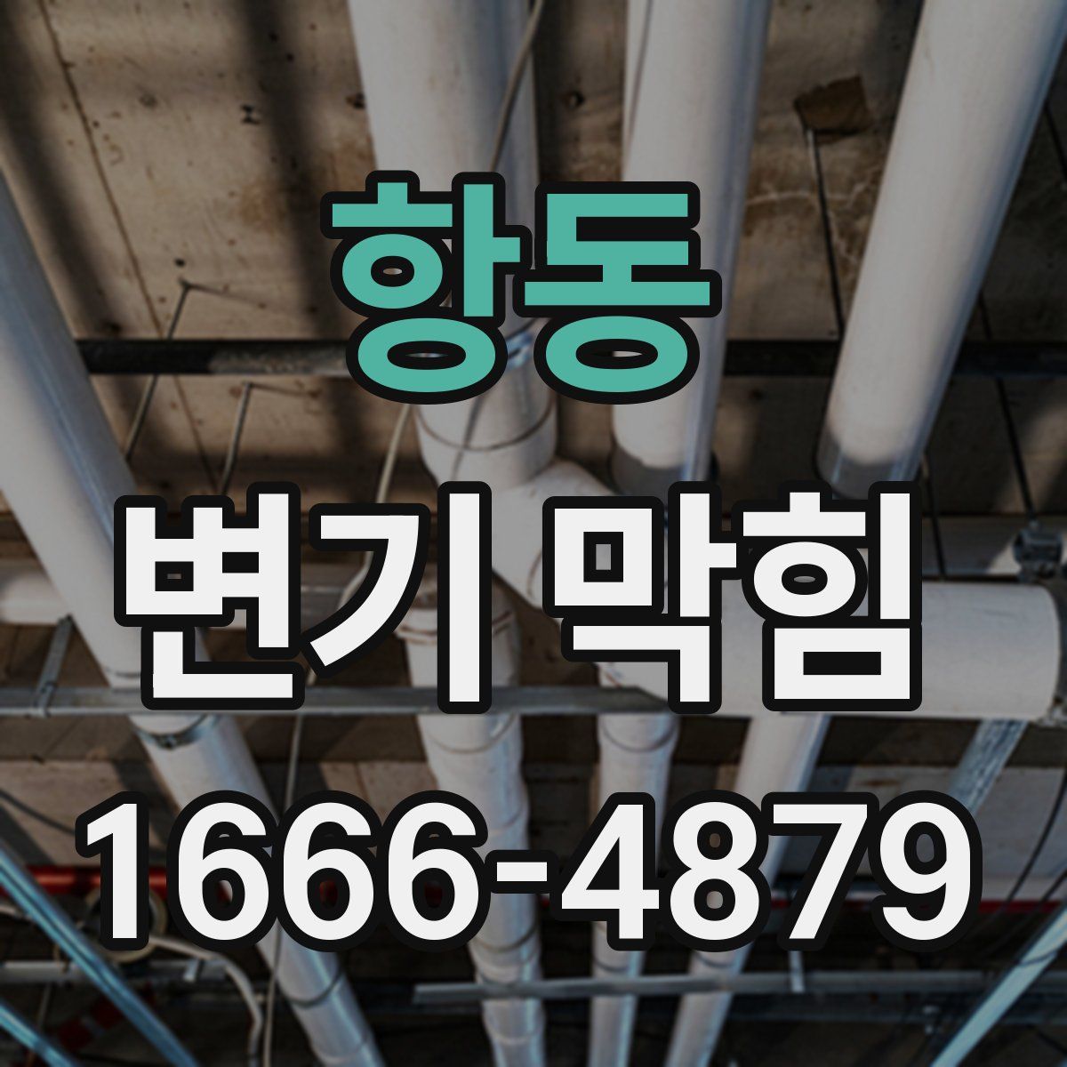 항동 변기 막힘