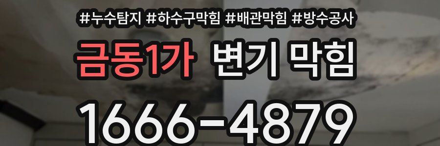 금동1가 변기 막힘
