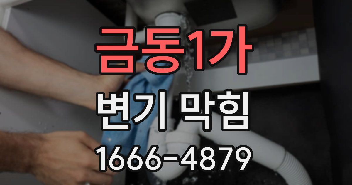 금동1가 변기 막힘