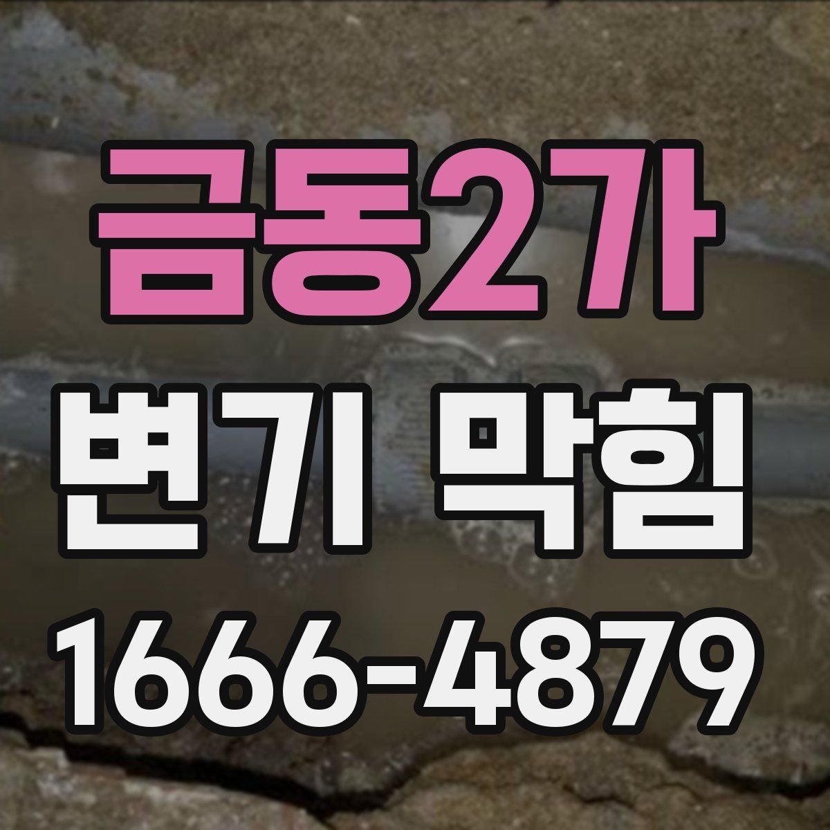 금동2가 변기 막힘