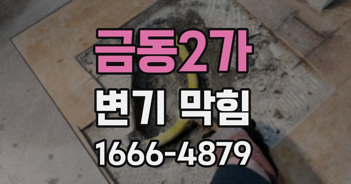 금동2가 변기 막힘