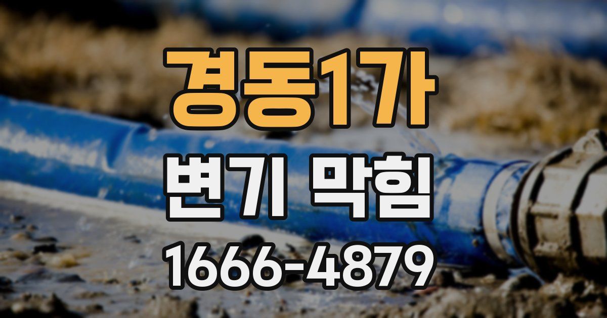 경동1가 변기 막힘