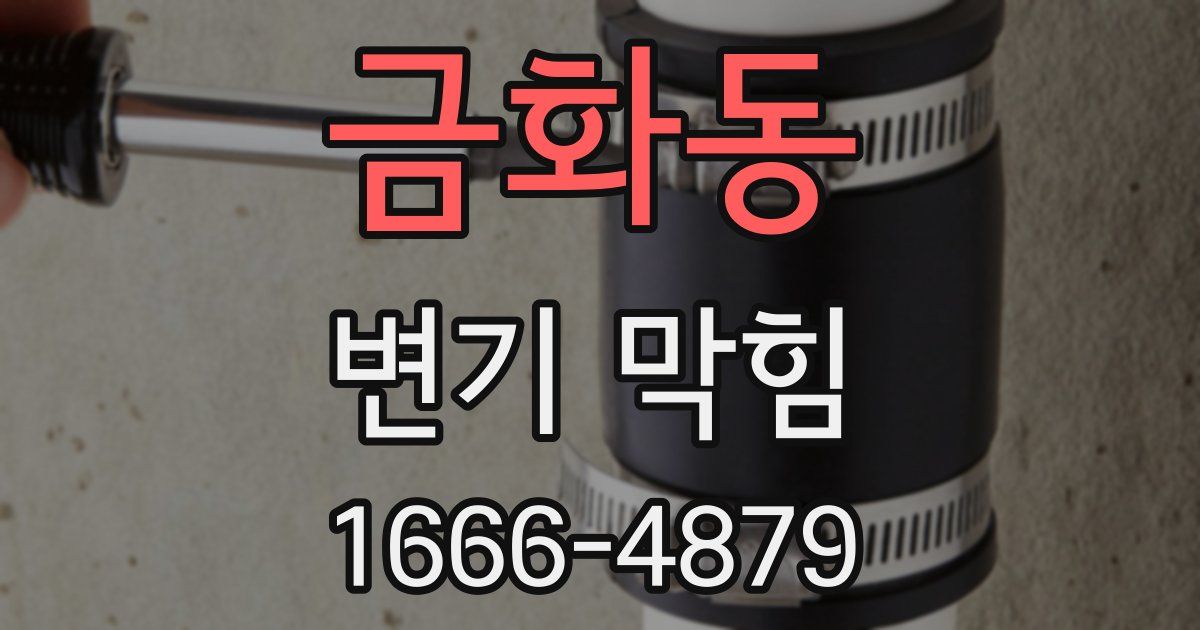 금화동 변기 막힘