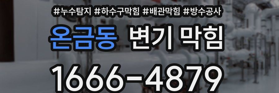 온금동 변기 막힘