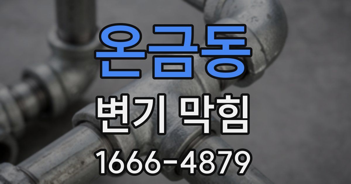 온금동 변기 막힘