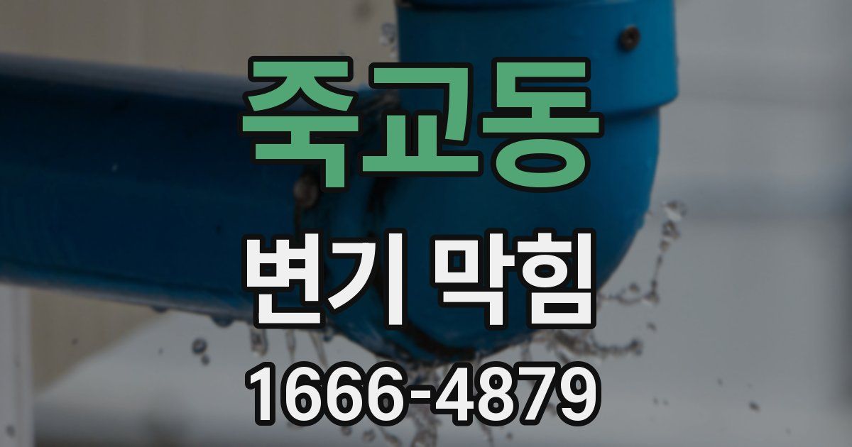 죽교동 변기 막힘