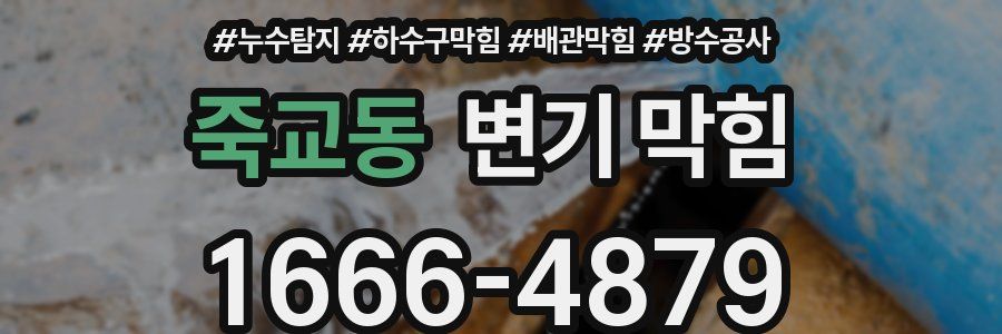 죽교동 변기 막힘