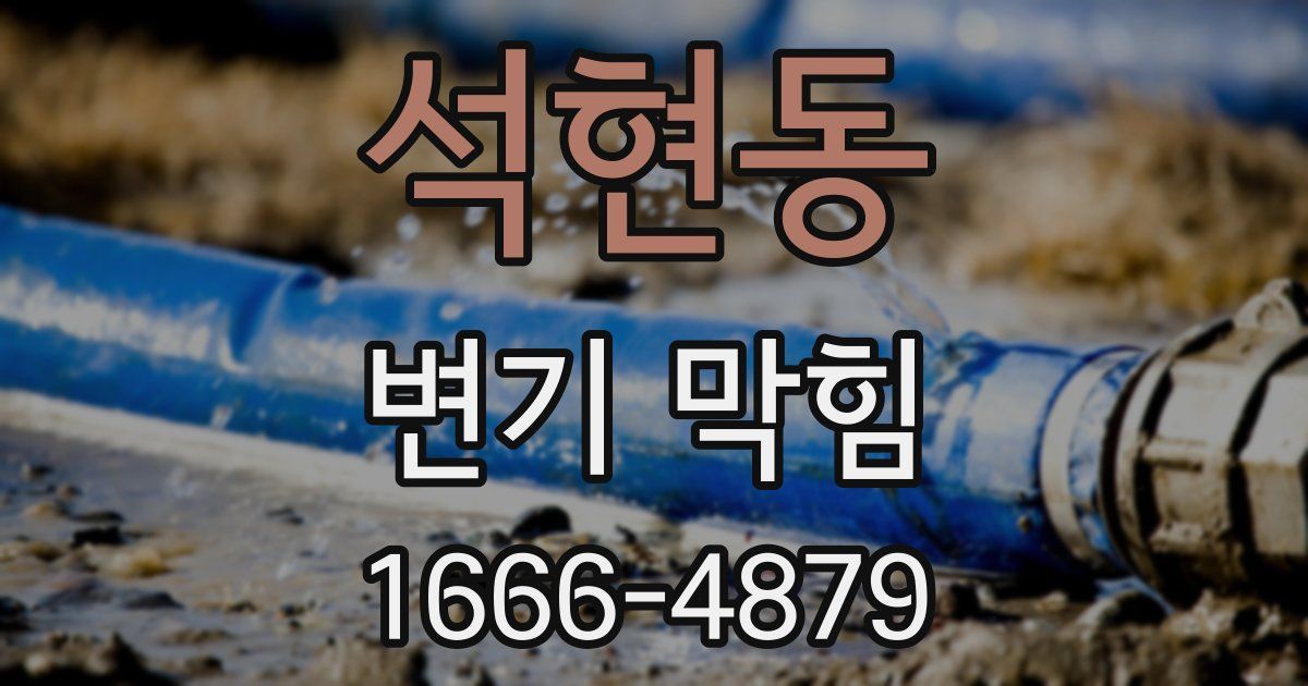 석현동 변기 막힘