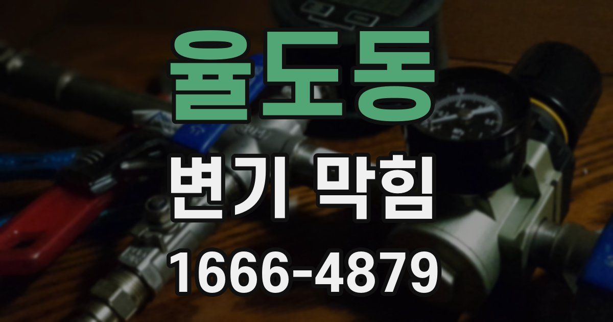 율도동 변기 막힘