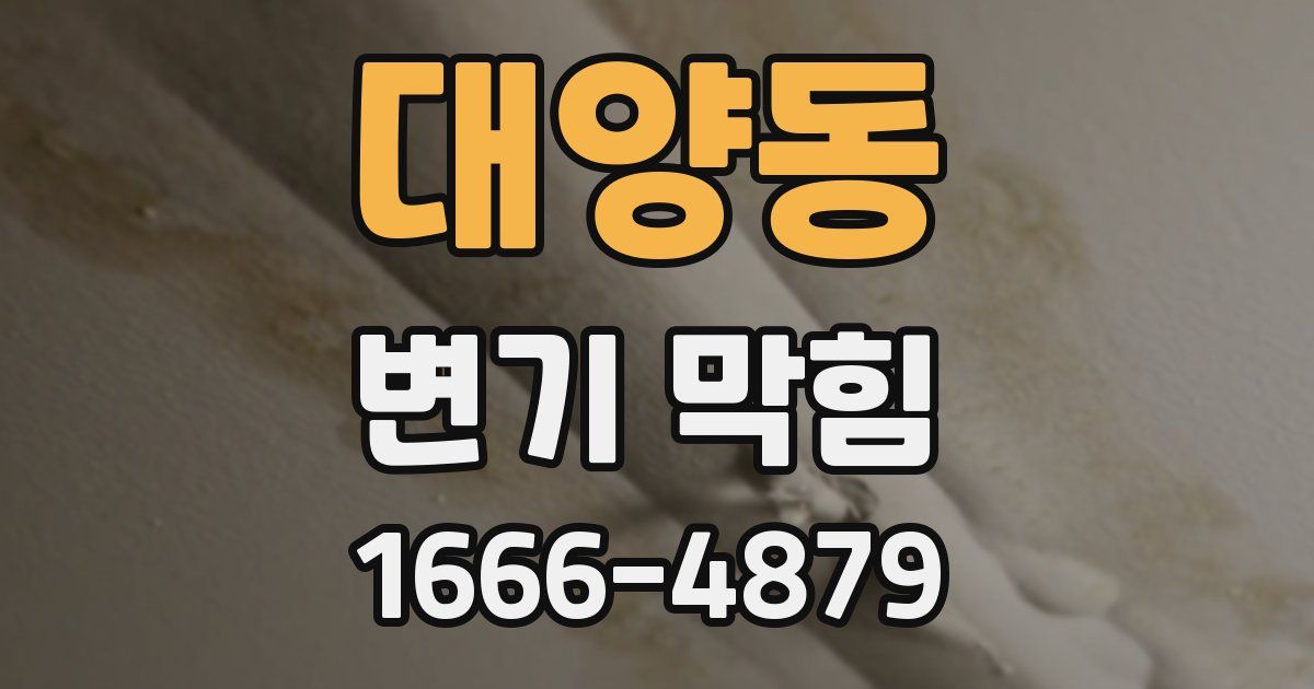 대양동 변기 막힘