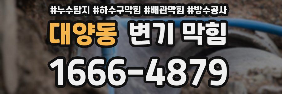 대양동 변기 막힘