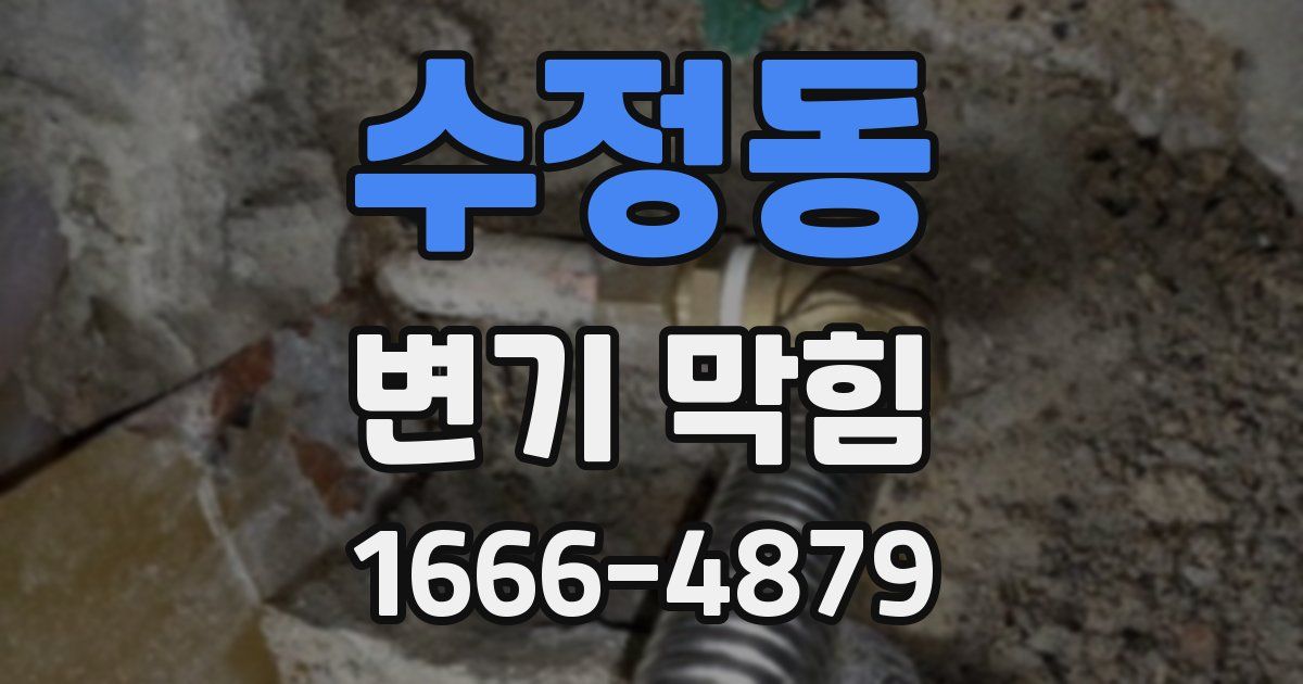 수정동 변기 막힘