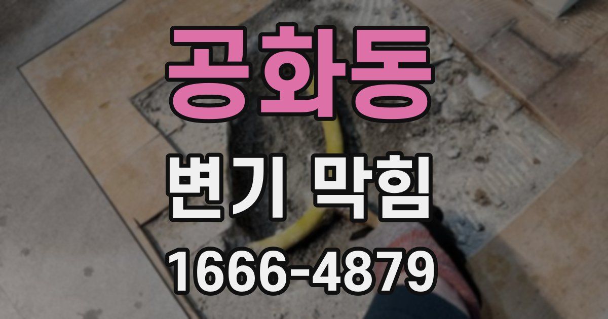 공화동 변기 막힘