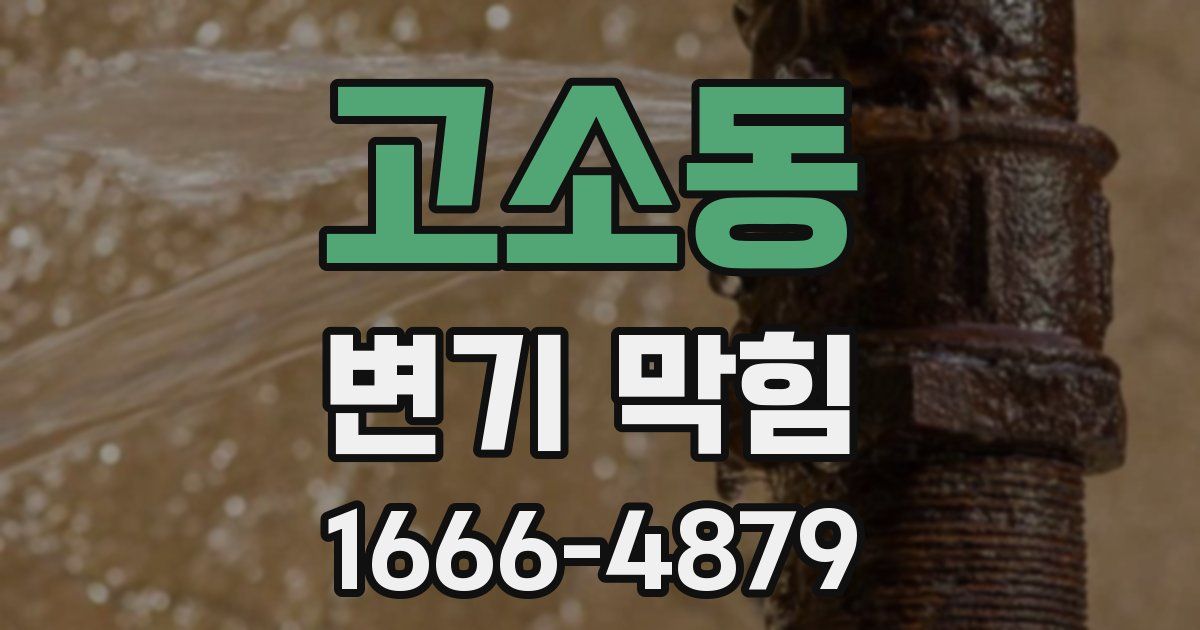 고소동 변기 막힘