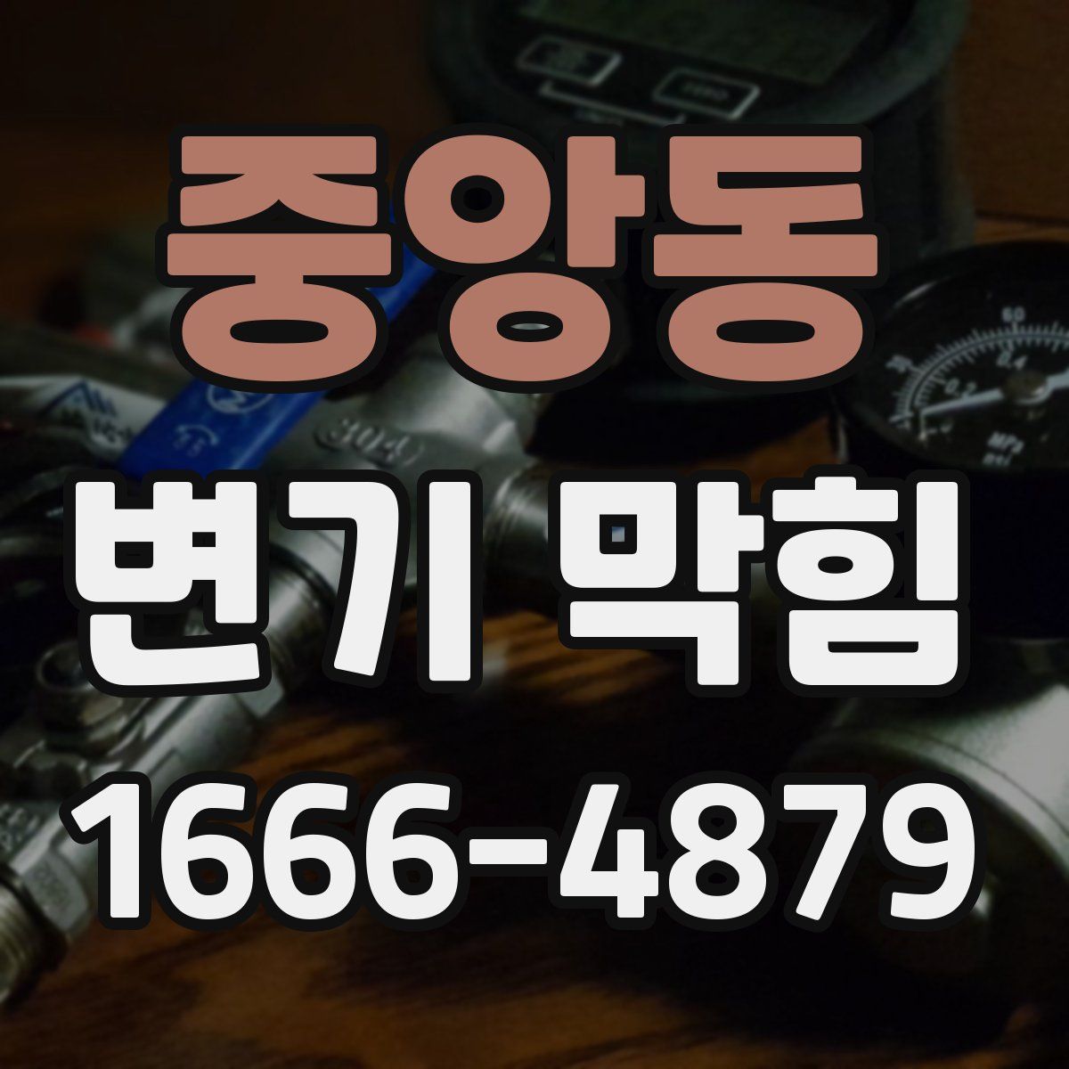 중앙동 변기 막힘