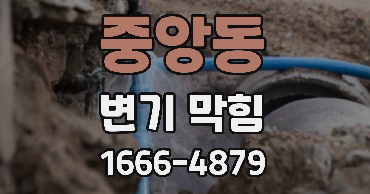 중앙동 변기 막힘