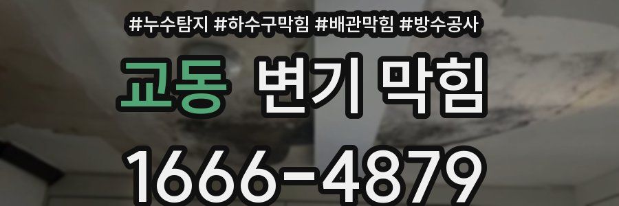 교동 변기 막힘