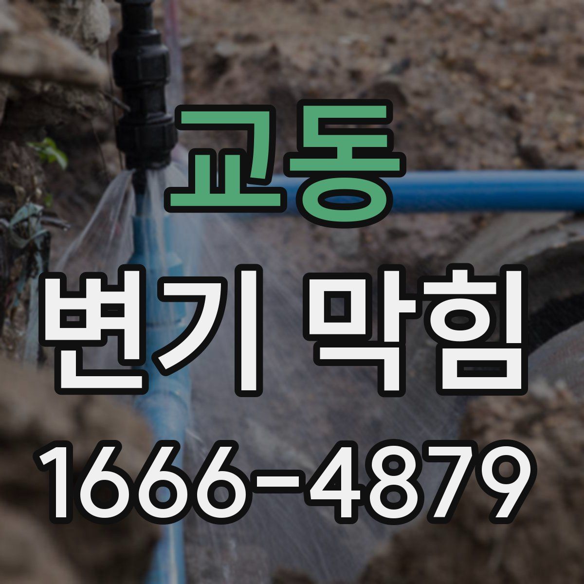 교동 변기 막힘