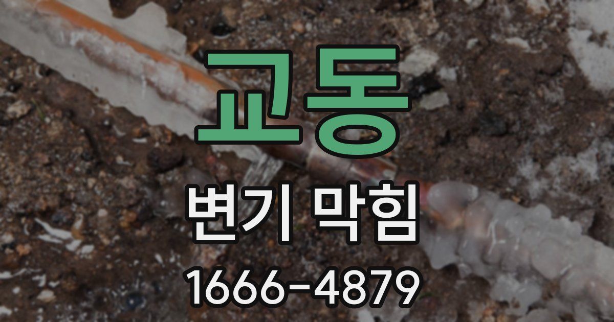 교동 변기 막힘