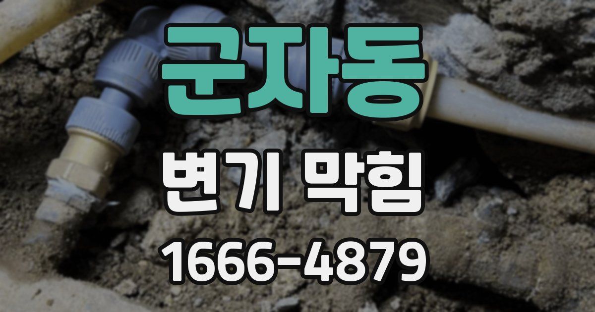 군자동 변기 막힘