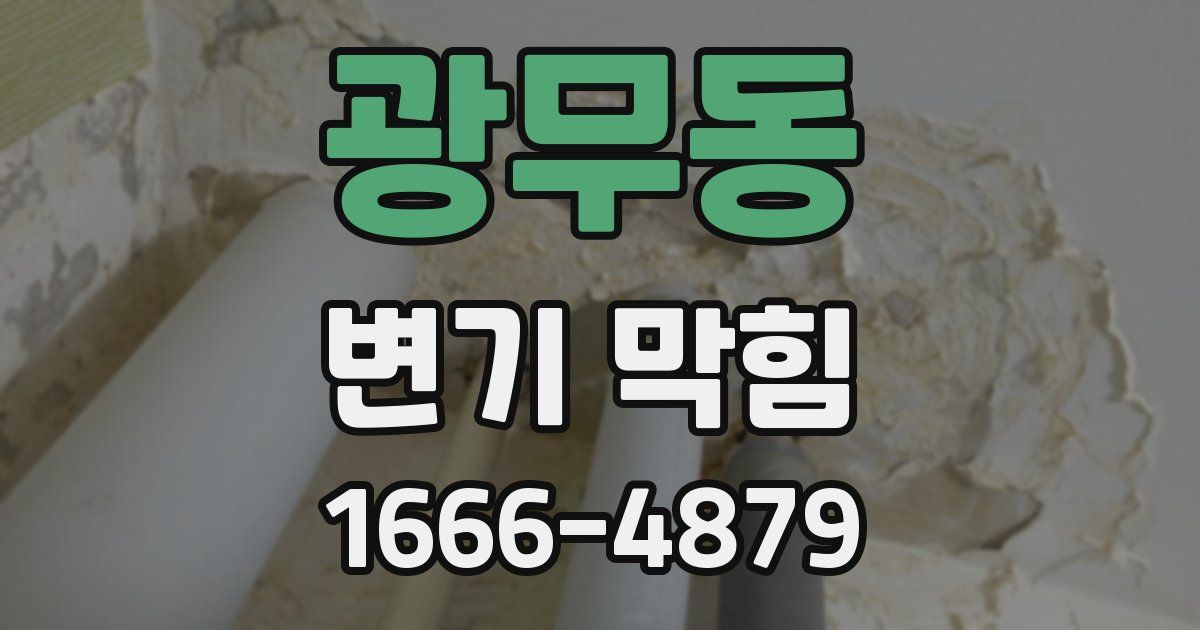 광무동 변기 막힘