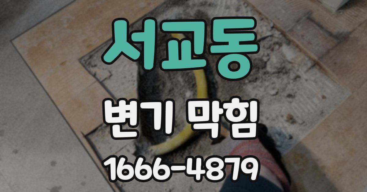 서교동 변기 막힘