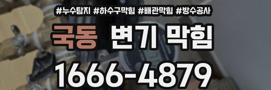 국동 변기 막힘