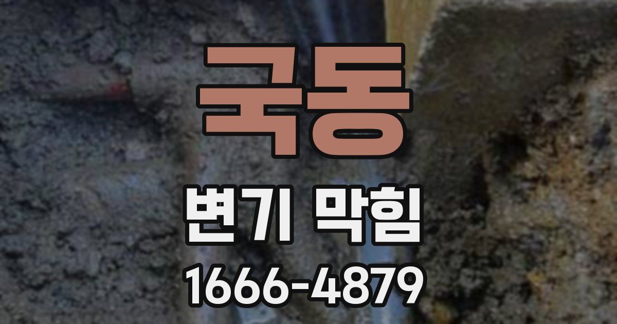 국동 변기 막힘