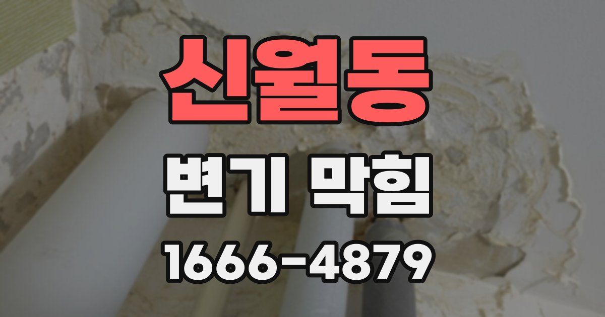신월동 변기 막힘