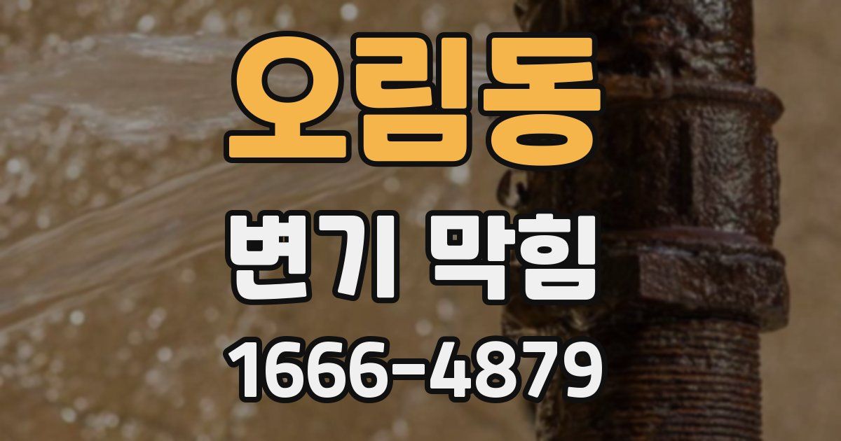 오림동 변기 막힘