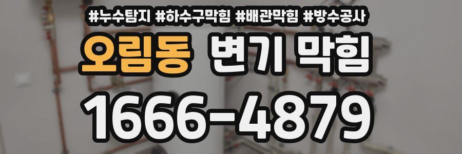 오림동 변기 막힘