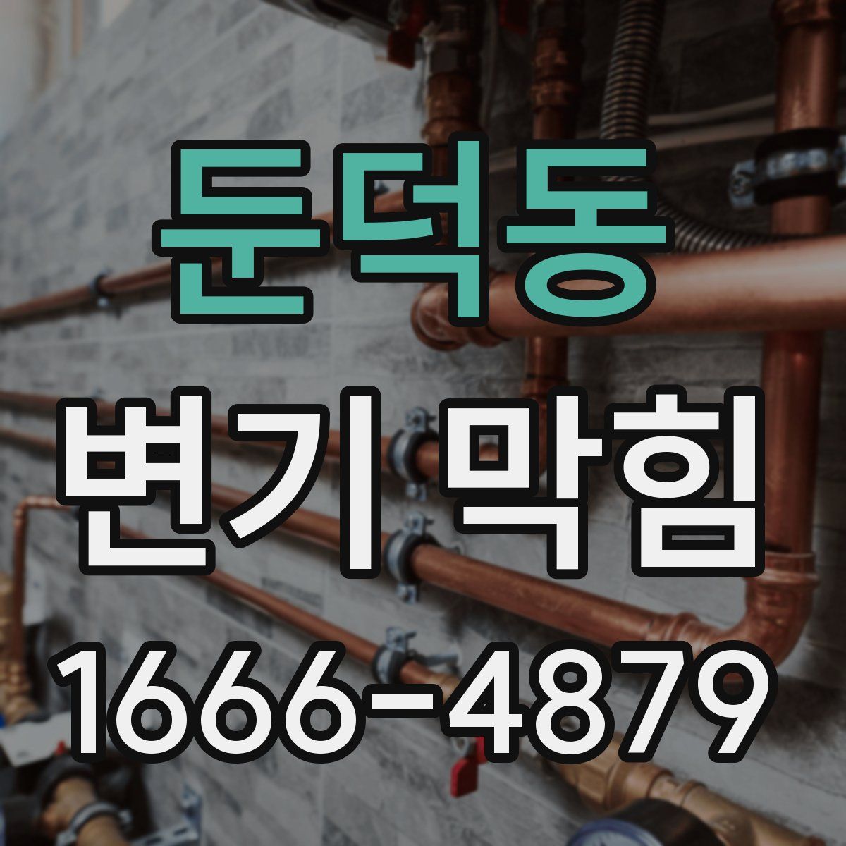 둔덕동 변기 막힘
