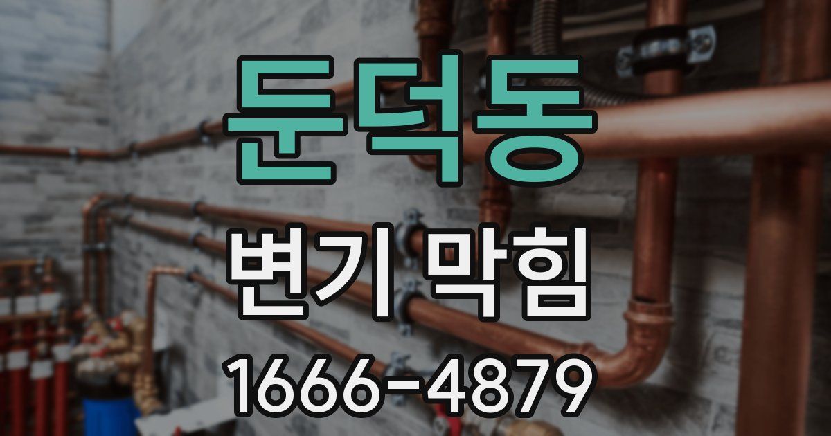 둔덕동 변기 막힘