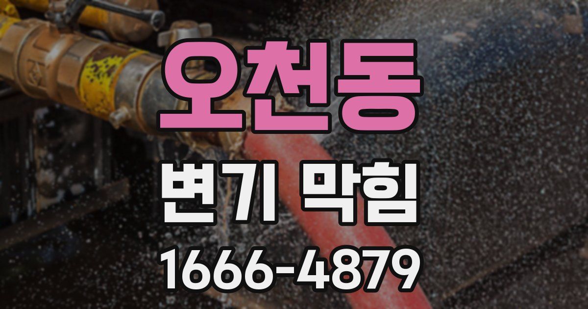 오천동 변기 막힘