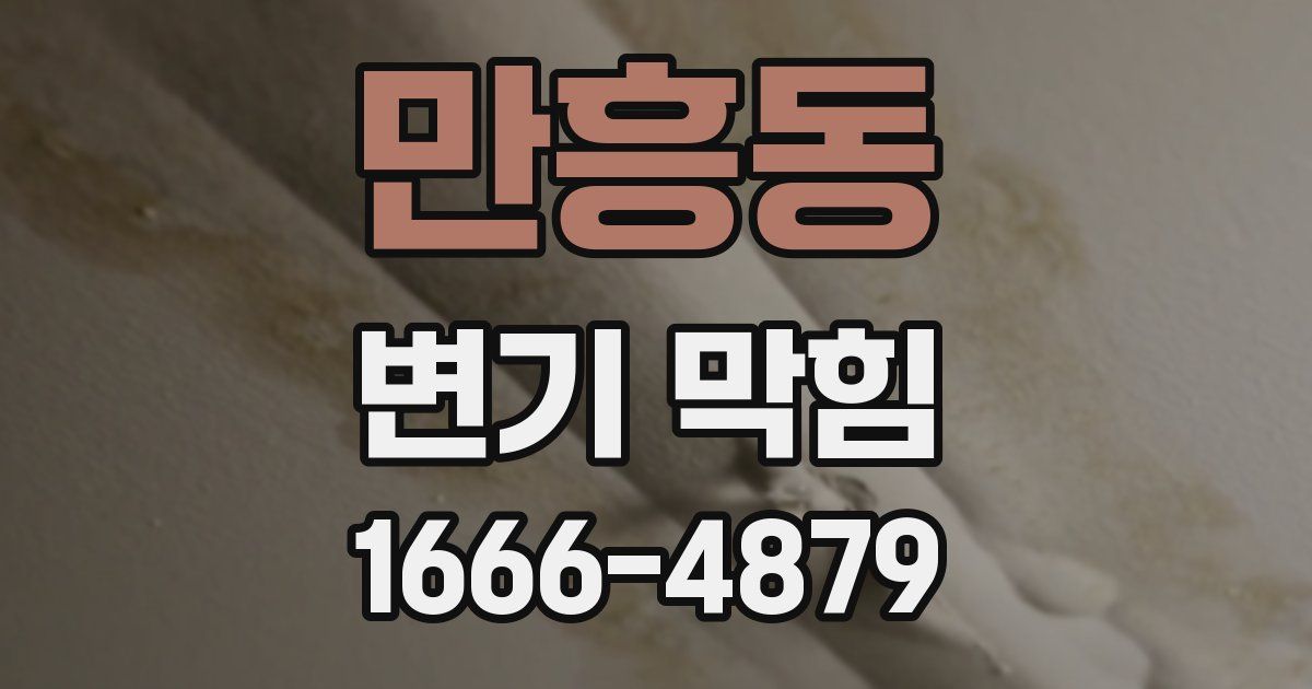 만흥동 변기 막힘