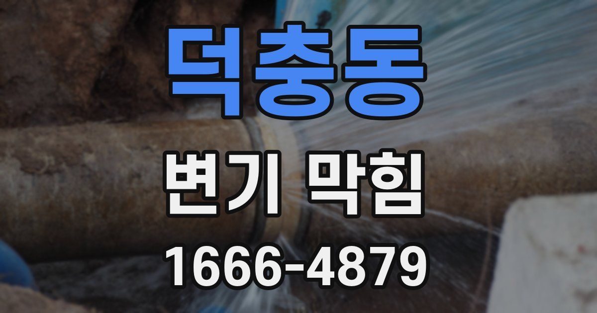 덕충동 변기 막힘