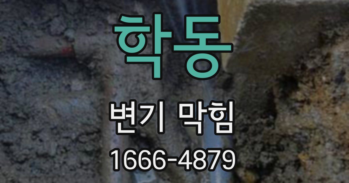 학동 변기 막힘