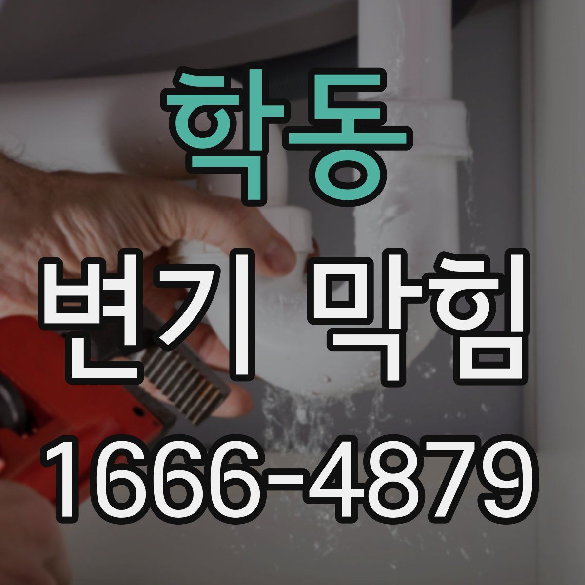 학동 변기 막힘